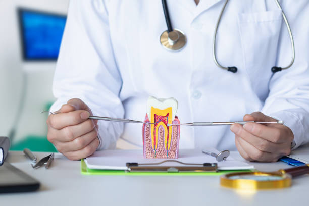 Best Pediatric Emergency Dentist in Hunter, TN